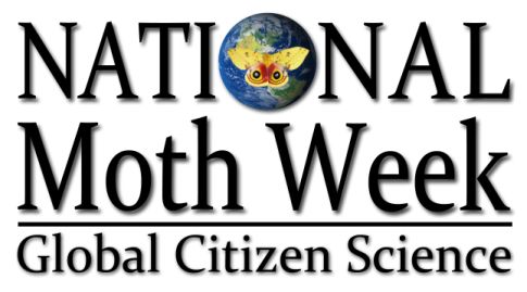 National Moth Week2013small