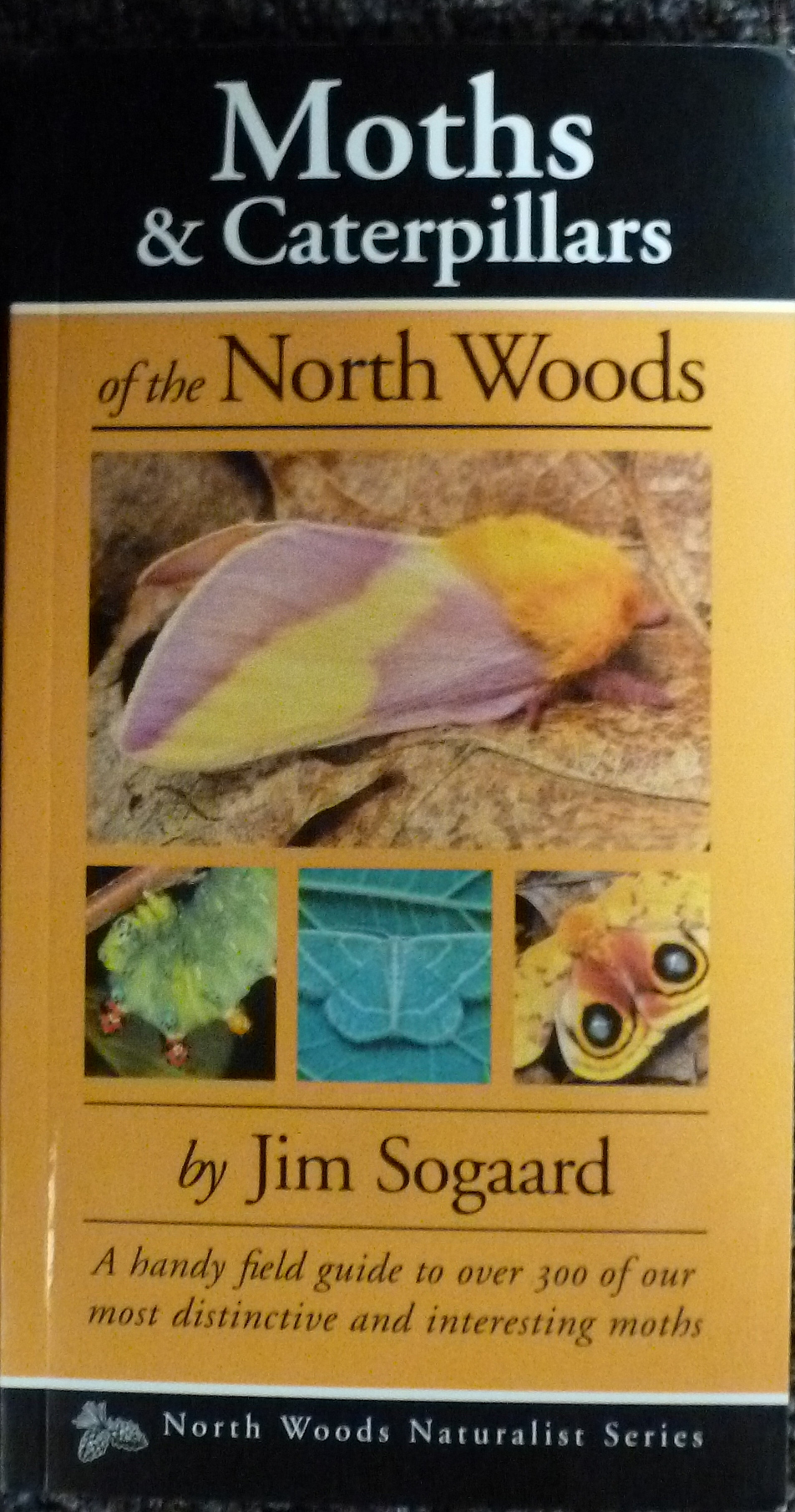 Moths and Caterpillars of the North Woods
