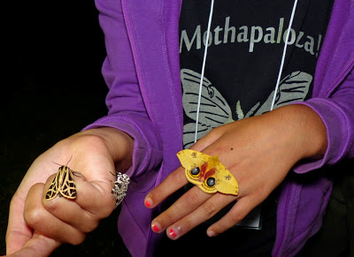 Eight-year-old Isabella at Mothapalooza modeling three gorgeous species (L to R): Anna Tiger Moth, Giant Leopard Moth, and an Io Moth.