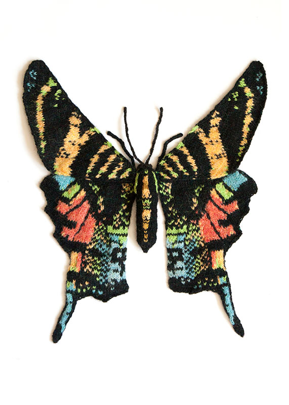urania-sloanus-moth