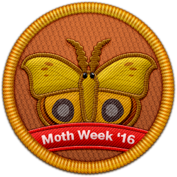 mothweek2016