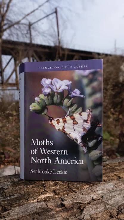 Moths of Western North America” by Seabrooke Leckie